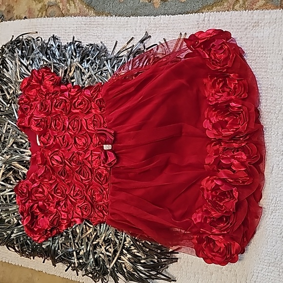 Nannette Other - Excellent condition, Like New! girls 4T stunning Red dress